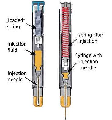 Federsimulation von Autoinjektoren - Grafische Darstellung