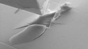 Mounting of indenter in an SEM