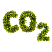 CO2排放降低，现代化升级改造，2021年