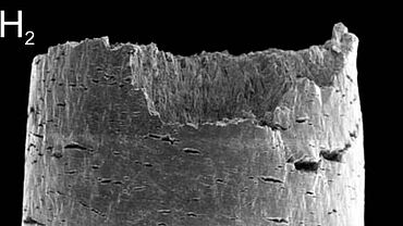 Wasserstoffeinfluss auf Metalle Wasserstoffeinfluss auf Metalle