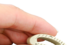 Intervertebraal fusiemechanisme