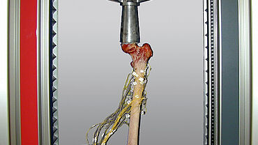 Lastversuch an humanem Femur Lastversuch an humanem Femur