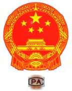 ICP China