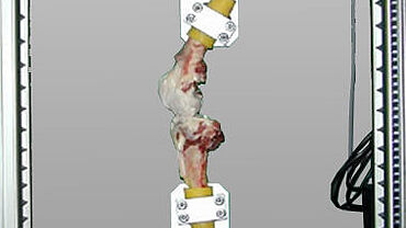 Ensayo de carga en articulación de rodilla humana