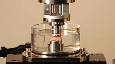 Triaxial testing on biomaterials and tissues