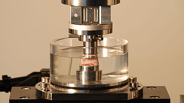 Ensaio triaxial em tecidos biológicos