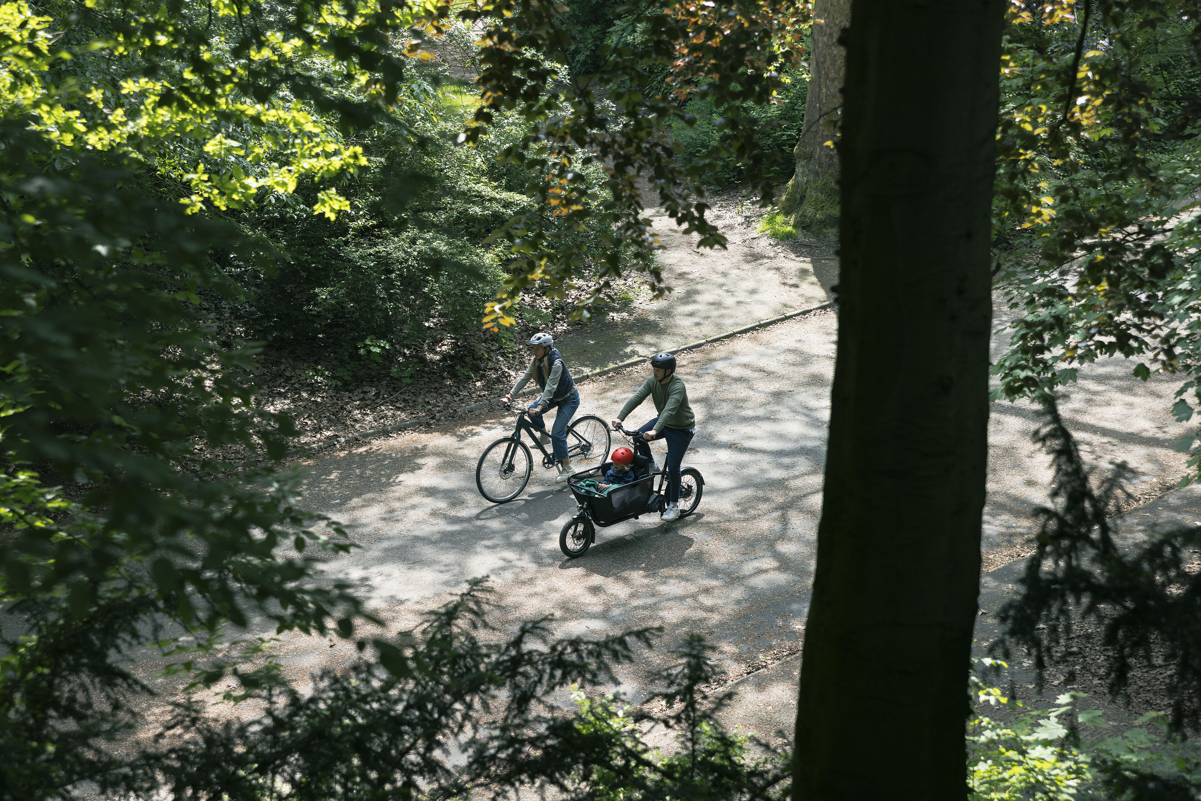 Lastenrad mit speziellen Schwalbe Reifen