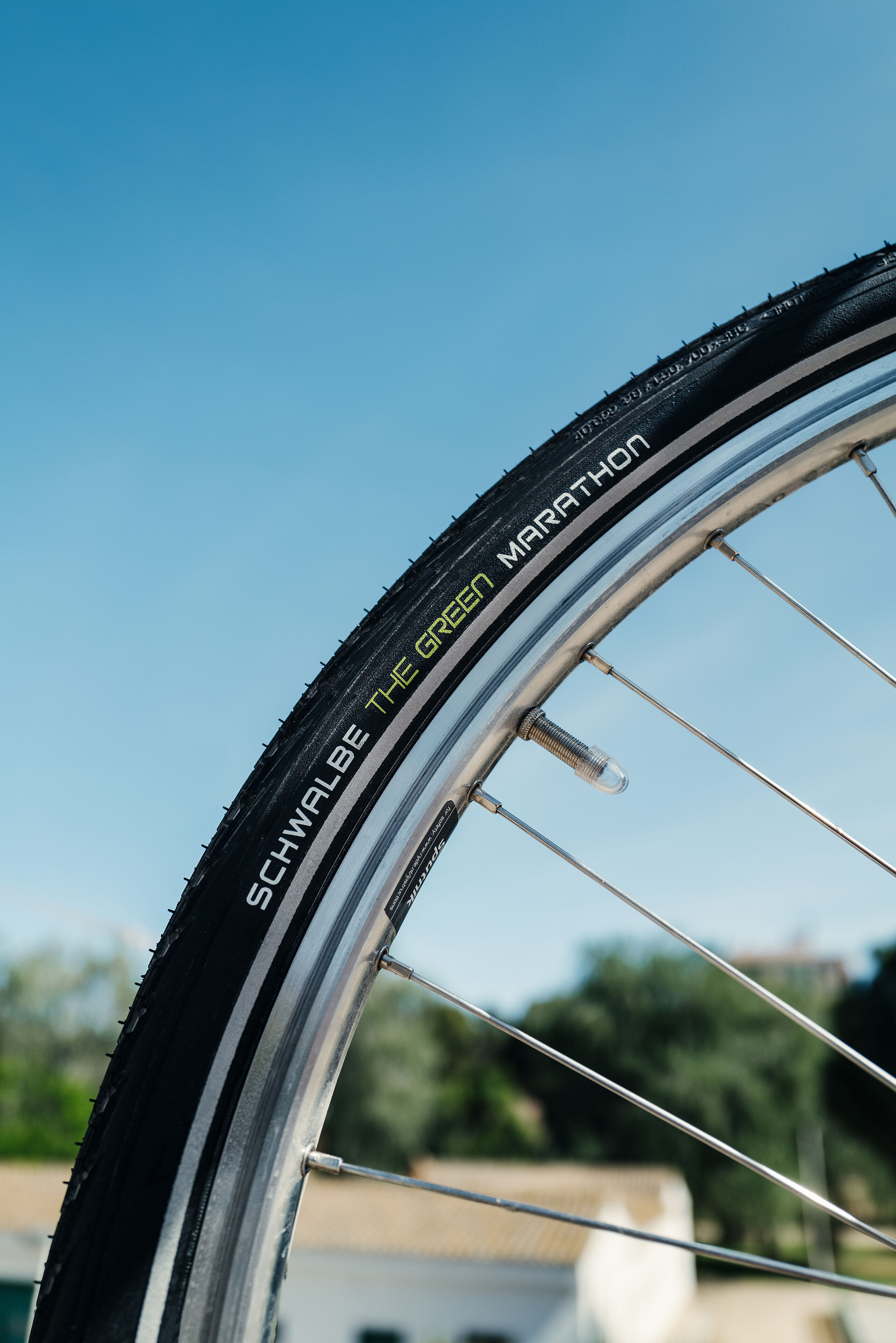 The Green Marathon bicycle tire from Schwalbe