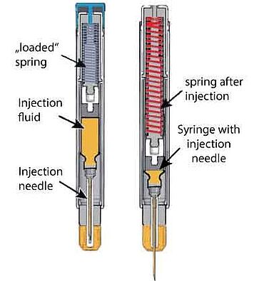 Autoinjector spring simulation - graphical representation